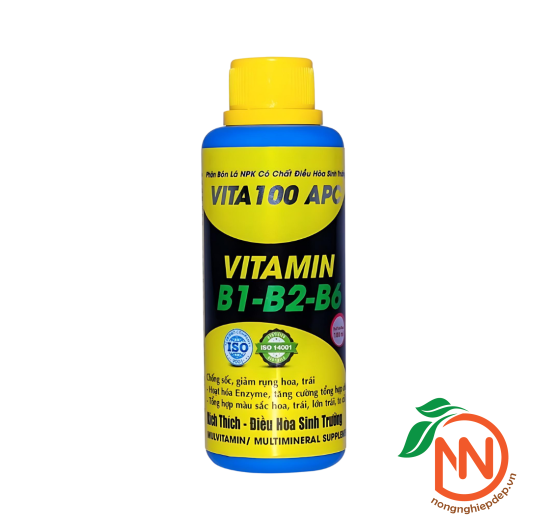 Vita 100 APC 100ml - Vitamin B1-B2-B6 - Điều Hòa Sinh Trưởng