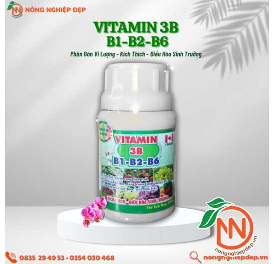 Vitamin 3B (B1-B2-B6) – Phân Bón Lá Vi Lượng