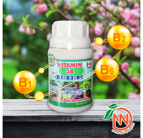 Vitamin 3B (B1-B2-B6) – Phân Bón Lá Vi Lượng