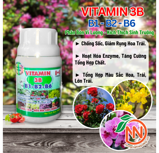Vitamin 3B (B1-B2-B6) – Phân Bón Lá Vi Lượng