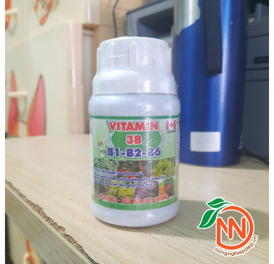 Vitamin 3B (B1-B2-B6) – Phân Bón Lá Vi Lượng