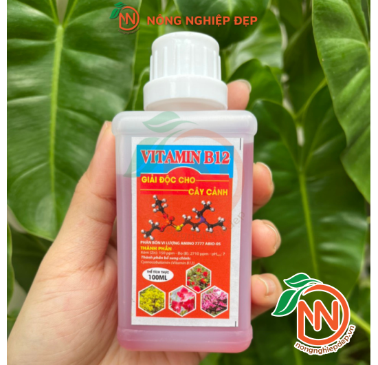 Vitamin B12 Cho Cây Cảnh- Giải Độc Cho Cây trồng