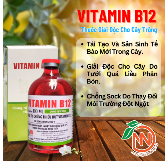 Vitamin B12 - Thuốc Giải Độc Cho Cây