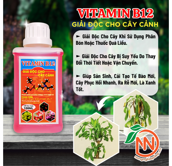 Vitamin B12 Cho Cây Cảnh- Giải Độc Cho Cây trồng