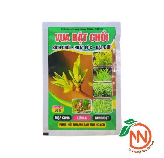 Vua Bật Chồi | Mập Cọng - Lớn Lá - Bung Đọt