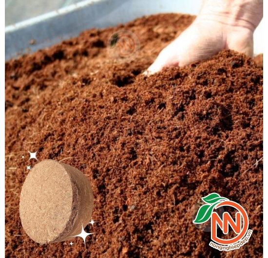 Mụn Dừa Ép Bánh Đã Xử Lý