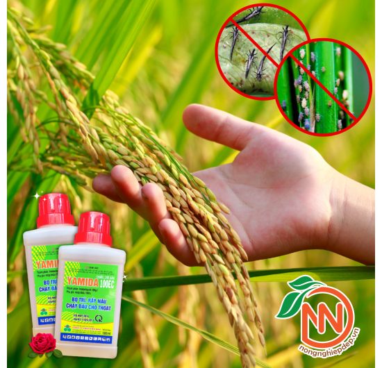 Thuốc Trừ Sâu YAMIDA Chuyên Trị Bọ Trĩ Và Rầy Nâu