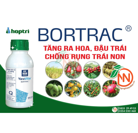 Phân Bón Vi Lượng BORTRAC - Ra Hoa, Đậu Trái, Chống Rụng Trái