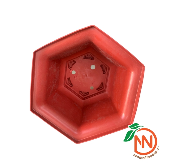 Chậu Nhựa Lục Giác Trồng Cây | FP5-1